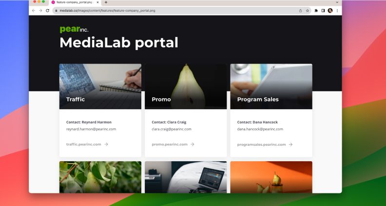 Company Portal