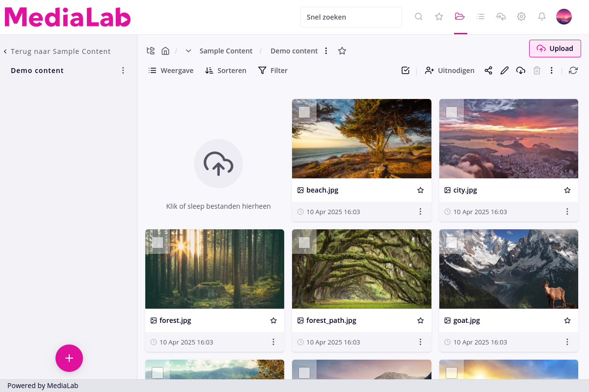 Screenshot to illustrate dark mode
